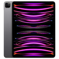 iPad Pro M2 6th Gen 12.9-inch Space Grey front display view with vibrant screen